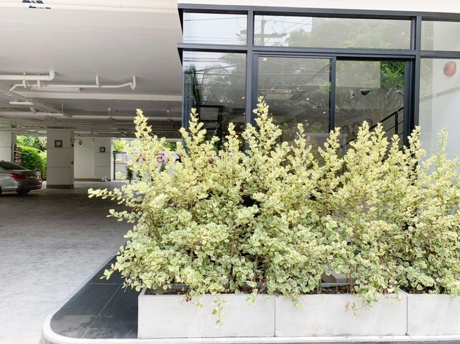 Pacific Residence 39 Банкок Екстериор снимка